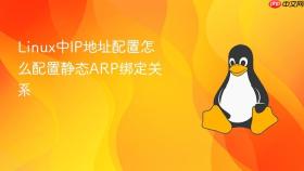 Linux中IP地址配置怎么配置静态ARP绑定关系