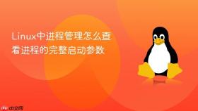 linux中进程管理怎么查看进程的完整启动参数