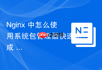 nginx 中怎么使用系统包管理器快速完成 nginx 安装
