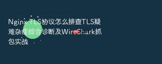 nginx tls协议怎么排查tls疑难杂症综合诊断及wireshark抓包实战