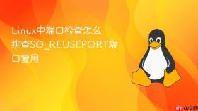 Linux中端口检查怎么排查SO_REUSEPORT端口复用