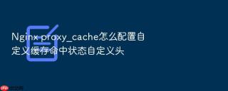 Nginx proxy_cache怎么配置自定义缓存命中状态自定义头