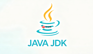 Java JDBC 怎么排查 JDBC 驱动版本冲突导致的报错