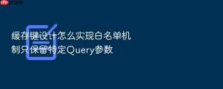 缓存键设计怎么实现白名单机制只保留特定query参数
