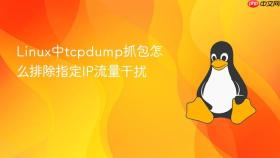 linux中tcpdump抓包怎么排除指定ip流量干扰