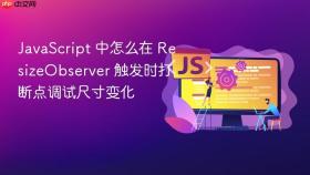 JavaScript 中怎么在 ResizeObserver 触发时打断点调试尺寸变化