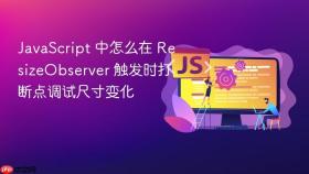 javascript 中怎么在 resizeobserver 触发时打断点调试尺寸变化