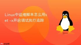 Linux中运维脚本怎么用set -x开启调试执行追踪