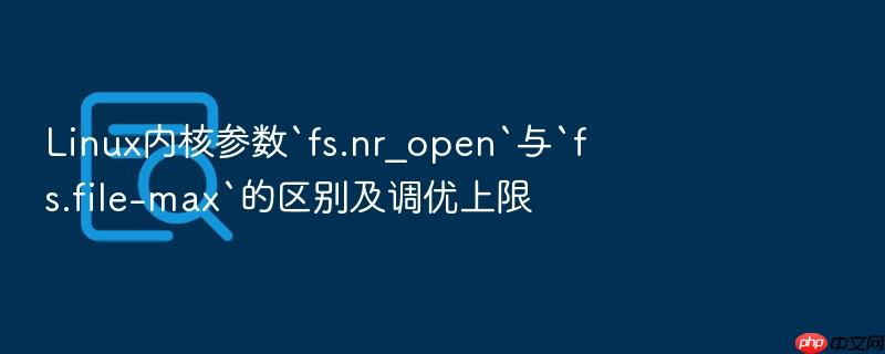 linux内核参数`fs.nr_open`与`fs.file-max`的区别及调优上限