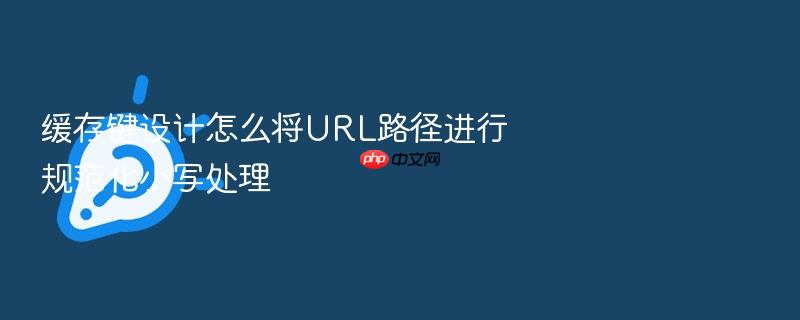 缓存键设计怎么将url路径进行规范化小写处理