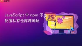 javascript 中 npm 怎么配置私有仓库源地址