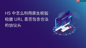 h5 中怎么利用原生校验检查 url 是否包含合法的协议头