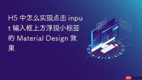 h5 中怎么实现点击 input 输入框上方浮现小标签的 material design 效果