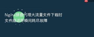 nginx排查代理大流量文件下载时文件描述符瞬间耗尽故障