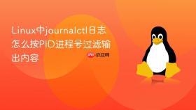 Linux中journalctl日志怎么按PID进程号过滤输出内容
