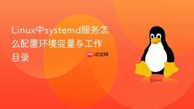 linux中systemd服务怎么配置环境变量与工作目录