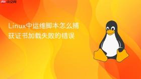 linux中运维脚本怎么捕获证书加载失败的错误