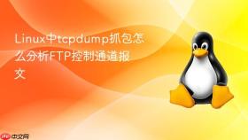 Linux中tcpdump抓包怎么分析FTP控制通道报文