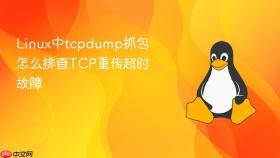 Linux中tcpdump抓包怎么排查TCP重传超时故障