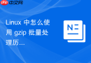 Linux 中怎么使用 gzip 批量处理历史归档数据