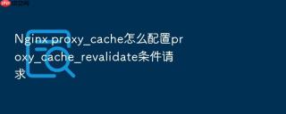 Nginx proxy_cache怎么配置proxy_cache_revalidate条件请求