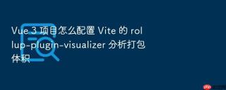 Vue 3 项目怎么配置 Vite 的 rollup-plugin-visualizer 分析打包体积