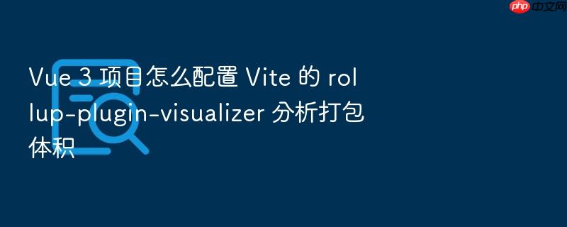 vue 3 项目怎么配置 vite 的 rollup-plugin-visualizer 分析打包体积