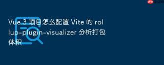 vue 3 项目怎么配置 vite 的 rollup-plugin-visualizer 分析打包体积
