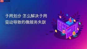 子网划分 怎么解决子网变动导致的微服务失联