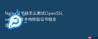 nginx证书链怎么测试openssl verify命令本地校验证书链全流程