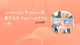 JavaScript 中 async 函数怎么在 React useEffect 用