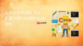 公网与私网规划 怎么配置内网DNS解析私网主机
