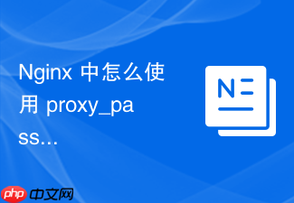 nginx 中怎么使用 proxy_pass 转发时过滤并清理无效的参数