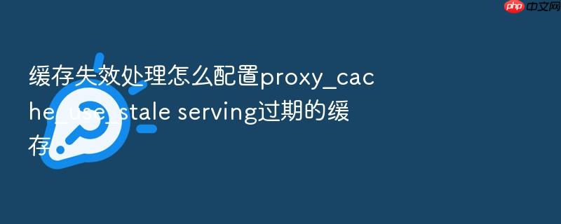 缓存失效处理怎么配置proxy_cache_use_stale serving过期的缓存