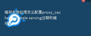 缓存失效处理怎么配置proxy_cache_use_stale serving过期的缓存
