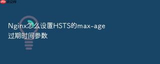 nginx怎么设置hsts的max-age过期时间参数