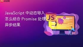 javascript 中动态导入怎么结合 promise 处理异步结果