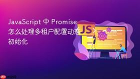 javascript 中 promise 怎么处理多租户配置动态初始化