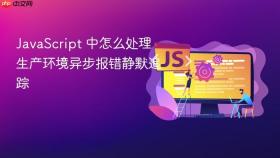 javascript 中怎么处理生产环境异步报错静默追踪