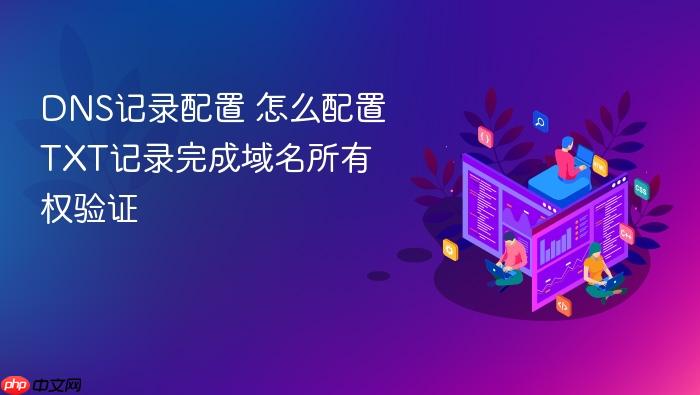 dns记录配置 怎么配置txt记录完成域名所有权验证