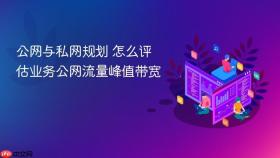 公网与私网规划 怎么评估业务公网流量峰值带宽