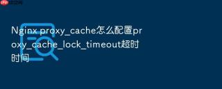 nginx proxy_cache怎么配置proxy_cache_lock_timeout超时时间