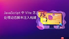 JavaScript 中 Vite 怎么处理动态脚本注入构建