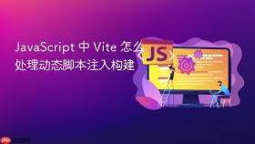 javascript 中 vite 怎么处理动态脚本注入构建