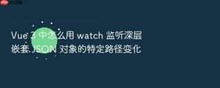 Vue 3 中怎么用 watch 监听深层嵌套 JSON 对象的特定路径变化