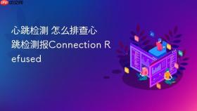 心跳检测 怎么排查心跳检测报connection refused