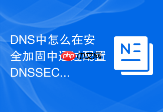 dns中怎么在安全加固中通过配置dnssec(dns安全扩展)防范隐蔽且危险的dns劫持与钓鱼攻击