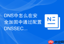 DNS中怎么在安全加固中通过配置DNSSEC（DNS安全扩展）防范隐蔽且危险的DNS劫持与钓鱼攻击