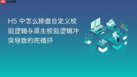h5 中怎么排查自定义校验逻辑与原生校验逻辑冲突导致的死循环
