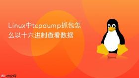 Linux中tcpdump抓包怎么以十六进制查看数据
